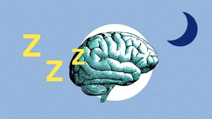 Los efectos neurológicos de la falta de sueño