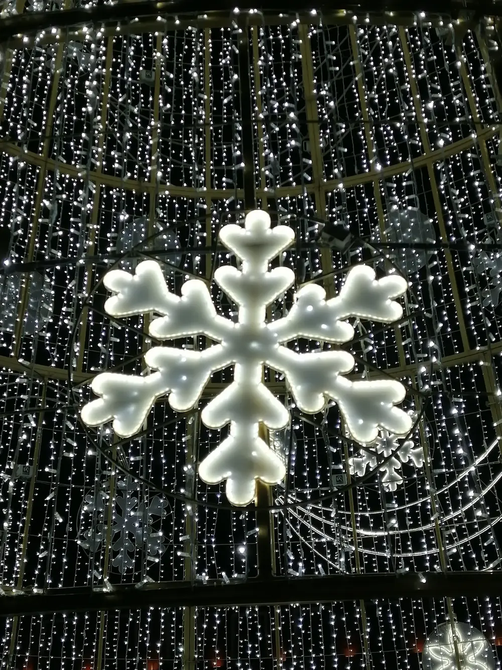 En el corazón de un copo de nieve