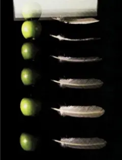 Manzana y pluma cayendo a la vez..