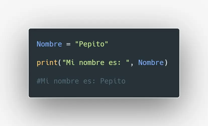 Fragmento de código en Python.