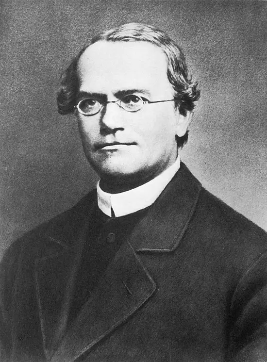 Las leyes de Mendel